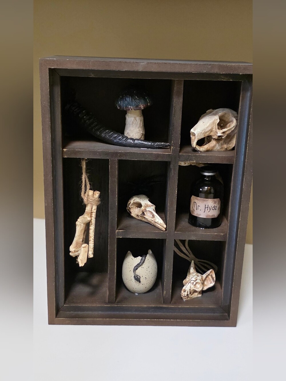Ashland Cabinet Of Odities Tabletop Decoration